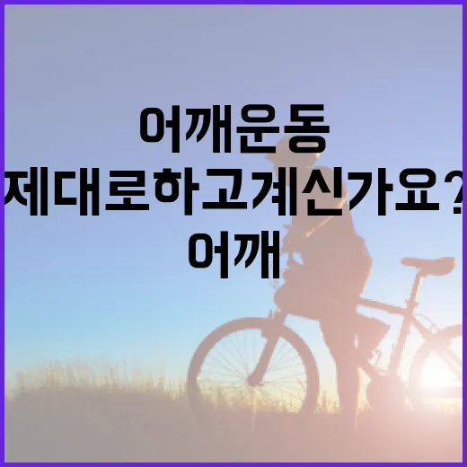 어깨운동, 통증 없이 제대로 하고 계신가요? - 요약