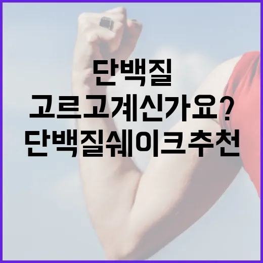 단백질쉐이크추천, 어떤 기준으로 고르고 계신가요? - 요약
