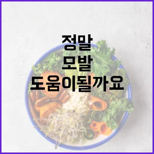 모발영양제, 정말 머리카락에 도움이 될까요? - 요약