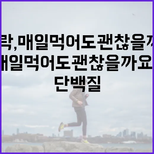 단백질도시락, 매일 먹어도 괜찮을까요? - 요약