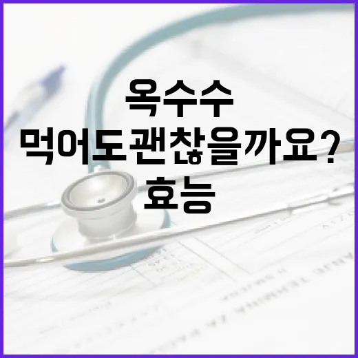 옥수수 효능, 간식으로 먹어도 괜찮을까요? - 요약