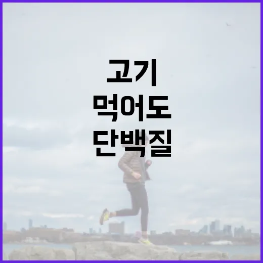 식물성단백질, 고기 대신 먹어도 충분할까요? - 요약