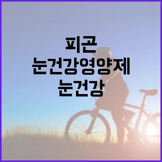 눈건강영양제, 피곤한 눈에도 정말 필요할까요? - 요약