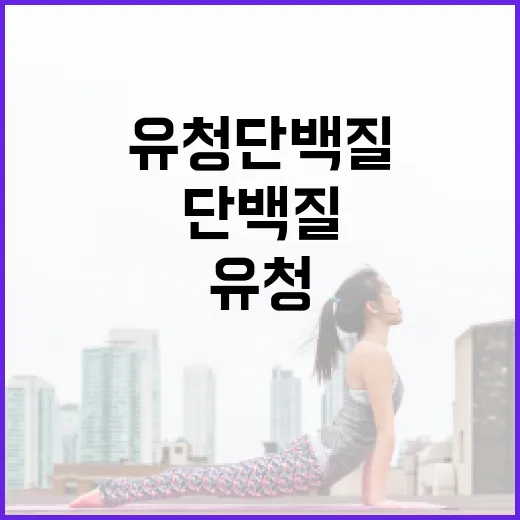 유청단백질, 운동 안 해도 먹을 필요가 있을까요? - 요약
