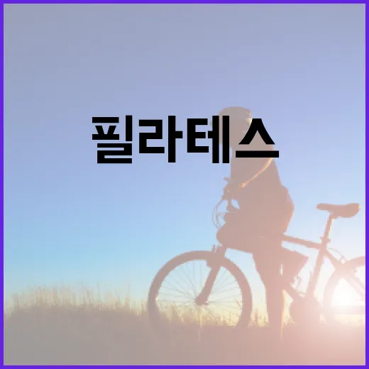 필라테스상의, 몸에 딱 붙는 게 정말 편한 선택일까요? - 요약