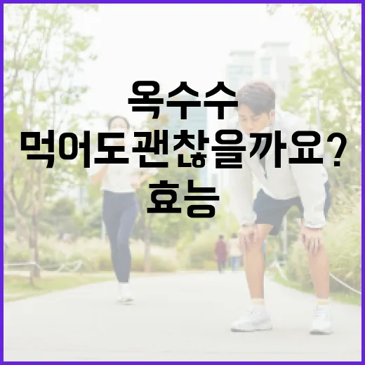 옥수수 효능, 간식으로 먹어도 괜찮을까요? - 요약