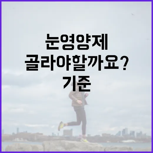 눈영양제추천, 내 눈 상태에는 어떤 기준으로 골라야 할까요? - 요약