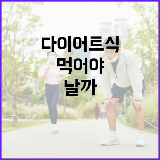 다이어트식, 배고프게 먹어야 효과가 날까요? - 요약
