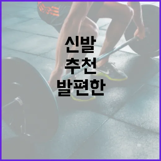 운동화추천, 발 편한 신발은 어떻게 고르면 좋을까요? - 요약