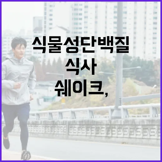 식물성단백질쉐이크, 식사 대신 마셔도 괜찮을까요? - 요약