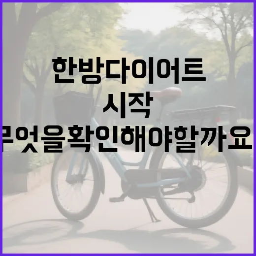 한방다이어트, 내 몸에 맞게 시작하려면 무엇을 확인해야 할까요? - 요약