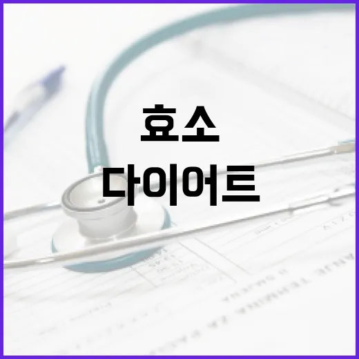 효소다이어트, 정말 살이 빠지는 데 도움이 될까요? - 요약