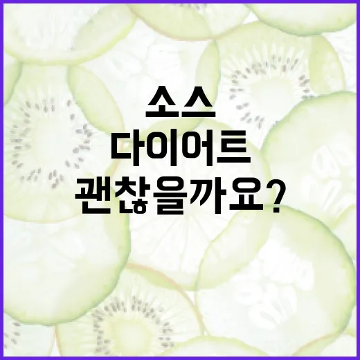 다이어트소스, 정말 마음 놓고 뿌려도 괜찮을까요? - 요약