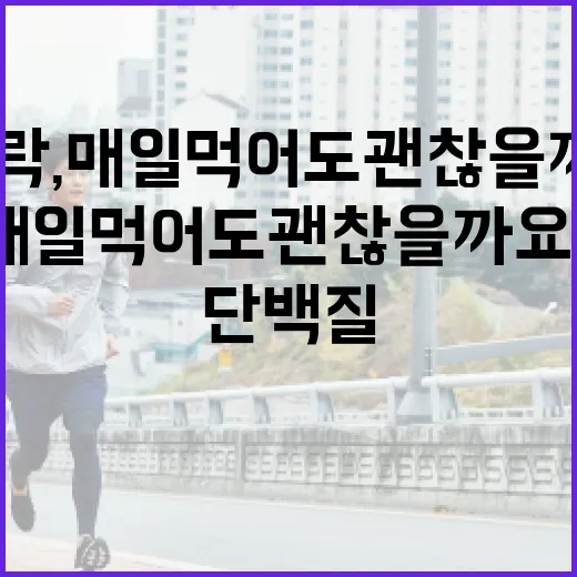 단백질도시락, 매일 먹어도 괜찮을까요? - 요약