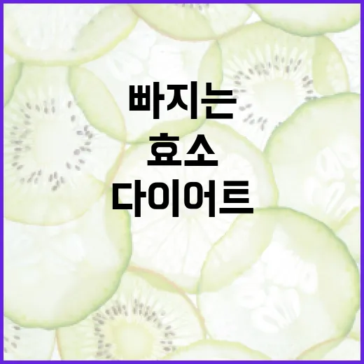 다이어트효소, 정말 살 빠지는 데 필요할까요? - 요약