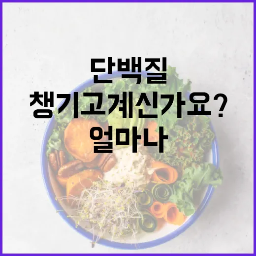 단백질음식, 매끼 얼마나 챙기고 계신가요? - 요약