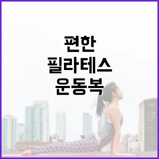 필라테스운동복, 예쁜 것보다 몸이 편한 기준이 궁금하신가요? - 요약