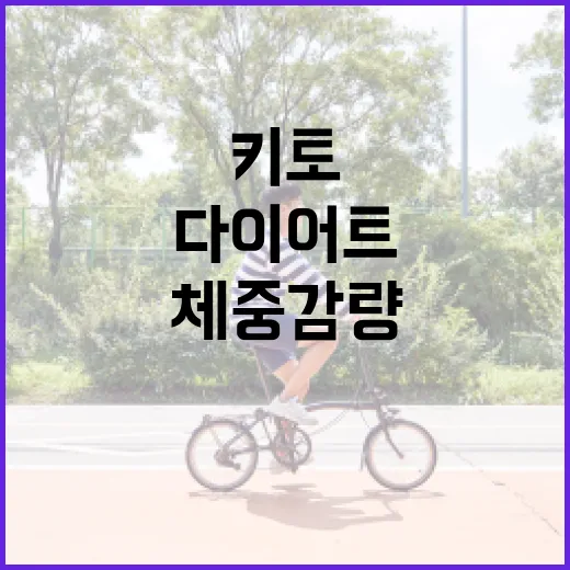 키토다이어트, 체중 감량에 정말 괜찮은 방법일까요? - 요약