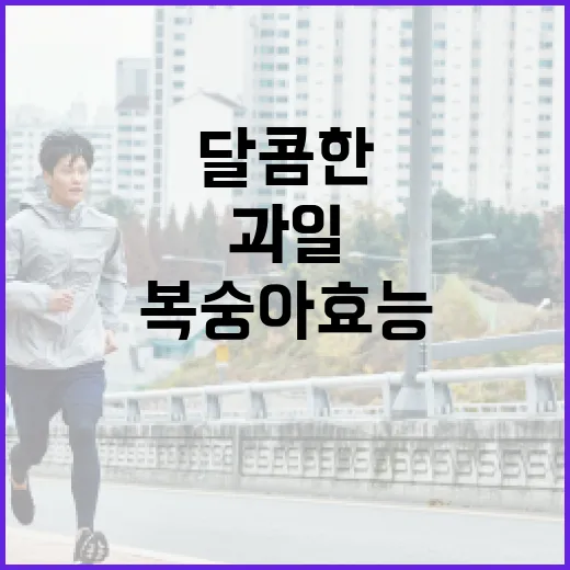 복숭아 효능, 달콤한 과일이라도 내 몸에 잘 맞을까요? - 요약