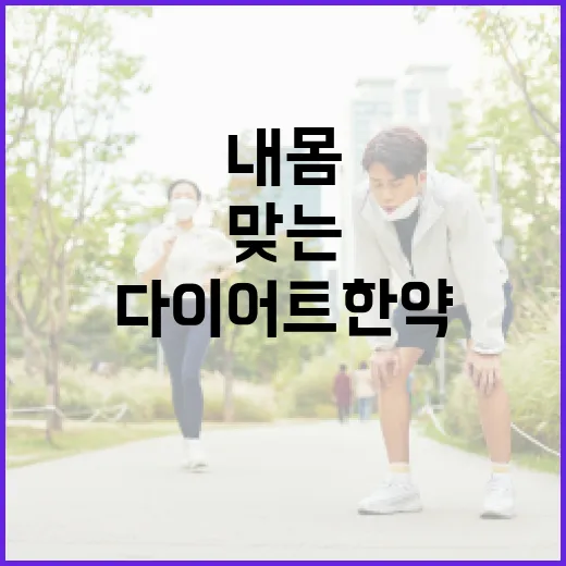 다이어트한약, 내 몸에 맞는 선택인지 궁금하신가요? - 요약