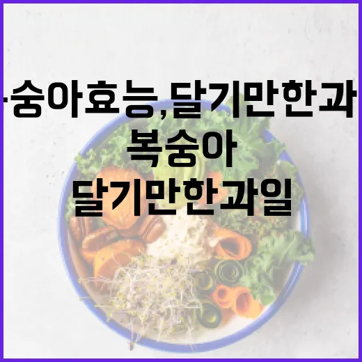 복숭아 효능, 달기만 한 과일이라고 생각하고 계신가요? - 요약
