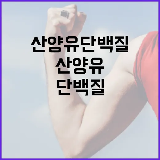 산양유단백질, 우유보다 속이 편하다는 말은 정말일까요? - 요약