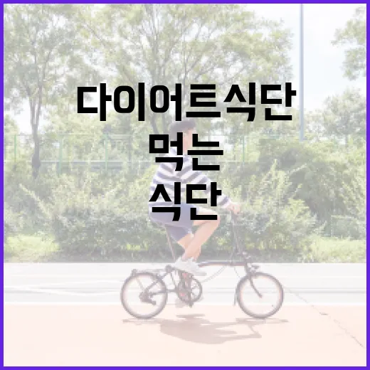 다이어트식단, 적게 먹는 것보다 오래 먹을 수 있는지가 궁금하신가요? - 요약