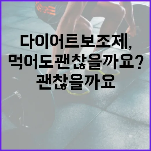 다이어트보조제, 정말 먹어도 괜찮을까요? - 요약