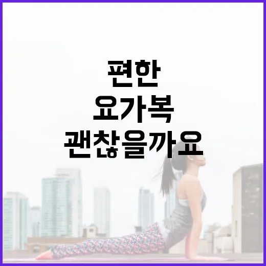 요가복, 몸에 편한 옷이면 아무거나 입어도 괜찮을까요? - 요약