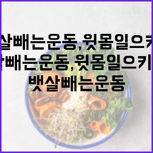 뱃살빼는운동, 윗몸일으키기만 하고 계신가요? - 요약