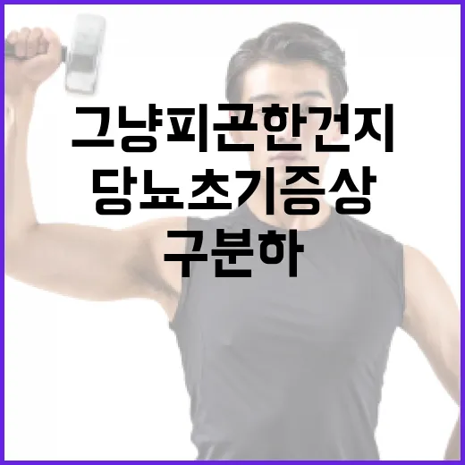 당뇨초기증상, 그냥 피곤한 건지 어떻게 구분하고 계신가요? - 요약
