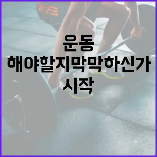 운동을 시작하려는데 얼마나 해야 할지 막막하신가요? - 요약