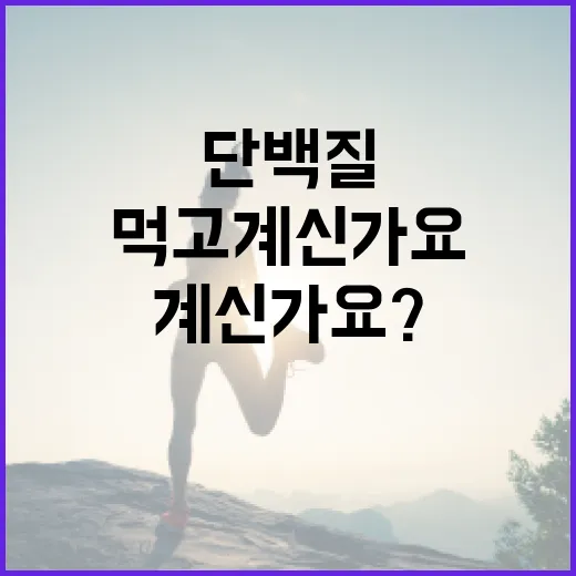 단백질, 매일 얼마나 먹고 계신가요? - 요약