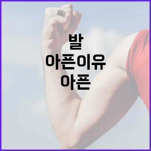 운동화, 발이 편한데도 무릎이 아픈 이유가 궁금하신가요? - 요약