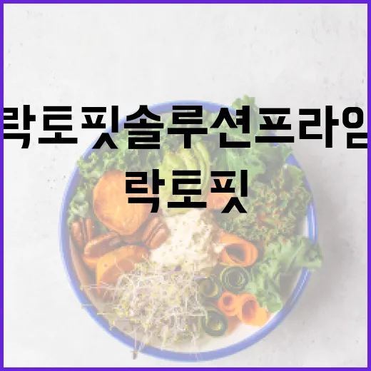 락토핏 솔루션 프라임, 장이 예민한 분들이 고를 때 무엇을 봐야 할까요? - 요약