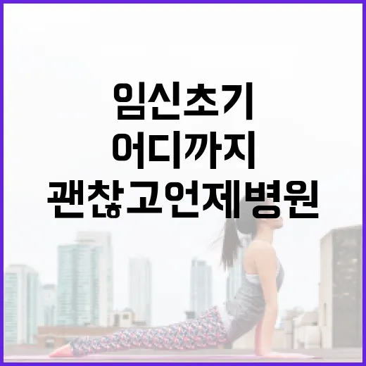 임신 초기, 어디까지는 괜찮고 언제 병원에 연락해야 할까요? - 요약