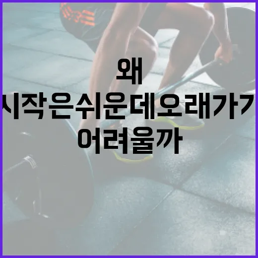 다이어트, 왜 매번 시작은 쉬운데 오래가기는 어려울까요? - 요약
