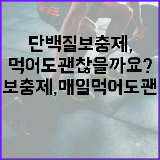 단백질보충제, 매일 먹어도 괜찮을까요? - 요약