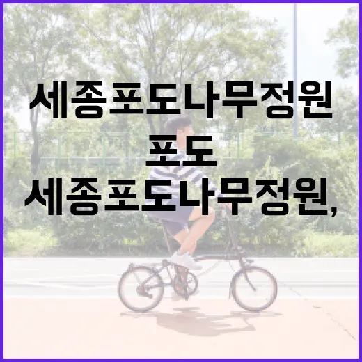 세종 포도나무정원, 산책 겸 과일 나들이로 괜찮을까요? - 요약