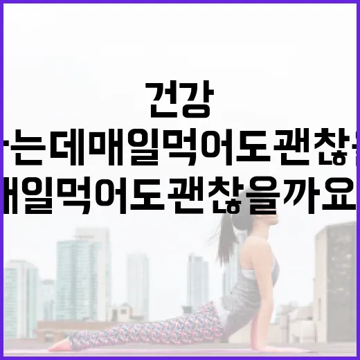 건강식품, 몸에 좋다는데 매일 먹어도 괜찮을까요? - 요약