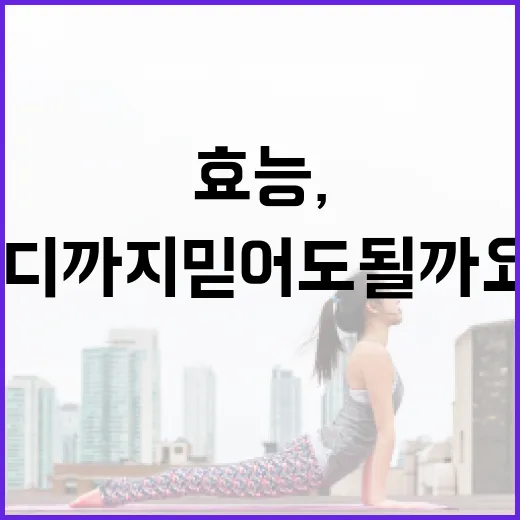 마 효능, 속이 편해진다는 말은 어디까지 믿어도 될까요? - 요약