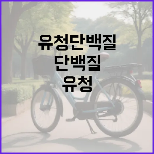 유청단백질, 매일 먹어도 괜찮을까요? - 요약