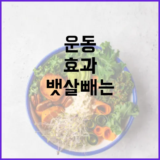 복근운동기구, 정말 뱃살 빼는 데 효과가 있을까요? - 요약