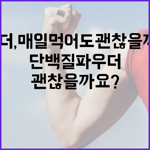 단백질파우더, 매일 먹어도 괜찮을까요? - 요약