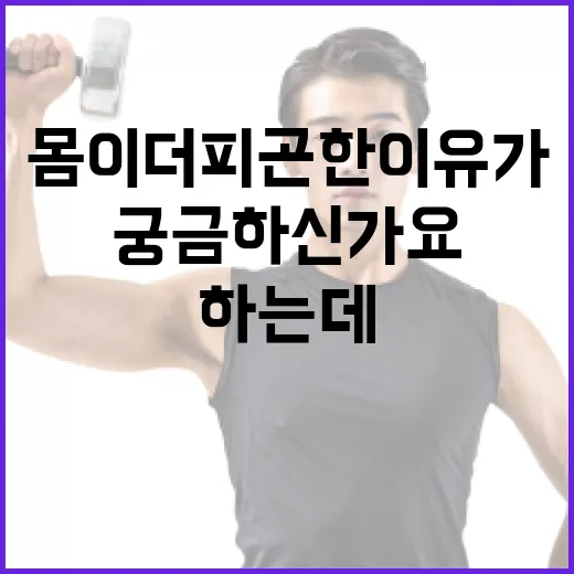 홈트, 매일 하는데도 몸이 더 피곤한 이유가 궁금하신가요? - 요약