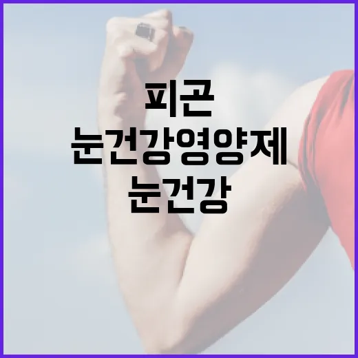 눈건강영양제, 피곤한 눈에 정말 필요할까요? - 요약