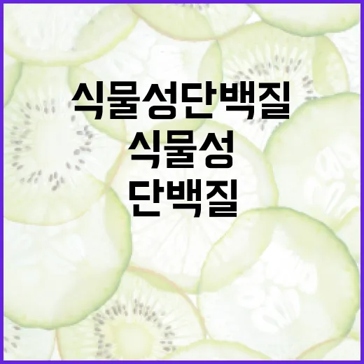 식물성단백질, 고기 대신 먹어도 괜찮을까요? - 요약