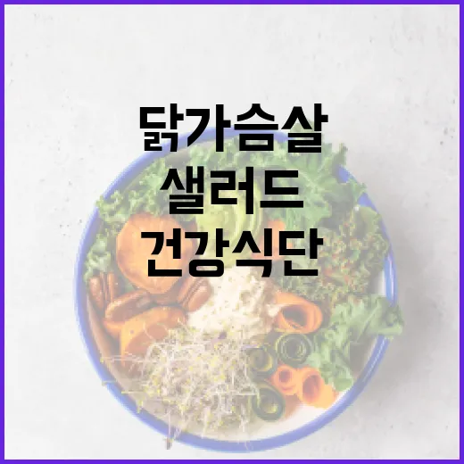 건강식단, 꼭 닭가슴살과 샐러드만 먹어야 할까요? - 요약