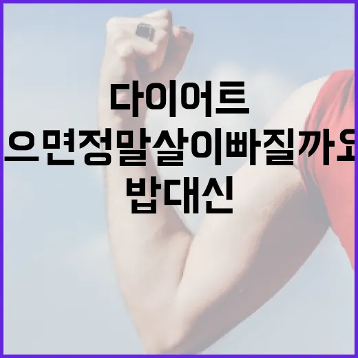 다이어트쌀, 밥 대신 먹으면 정말 살이 빠질까요? - 요약