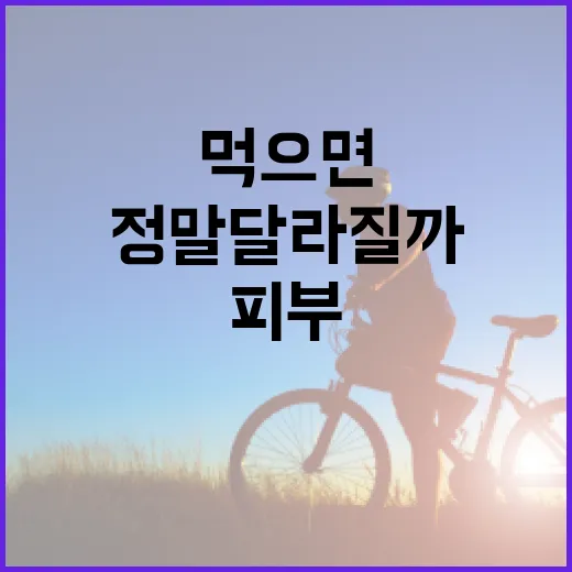 피부영양제, 먹으면 피부가 정말 달라질까요? - 요약